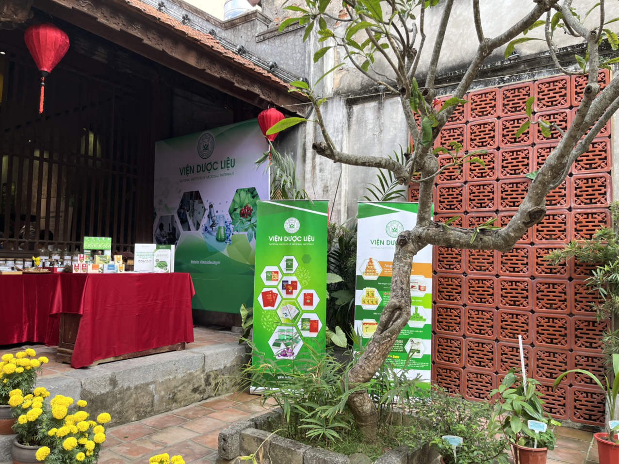 Không có ảnh